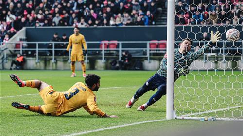 Bristol City contra lobos